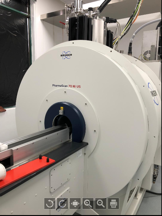 大型儀器 小動物核磁成像系統(tǒng)